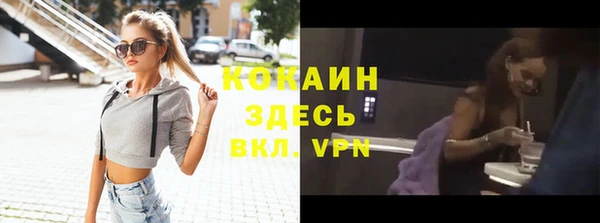 прущие грибы Сосновка