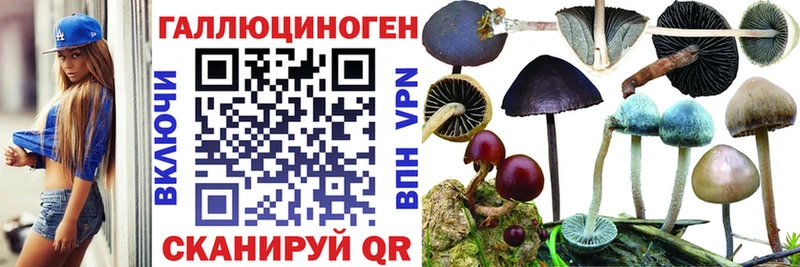 Псилоцибиновые грибы мицелий  как найти закладки  Новоржев 