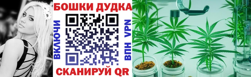 Бошки марихуана гибрид  Новоржев 